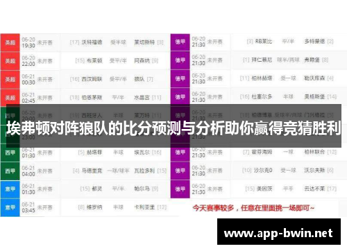 埃弗顿对阵狼队的比分预测与分析助你赢得竞猜胜利